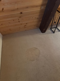 Stained carpets throughout the house.