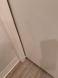 Brown smudges on bathroom sliding door