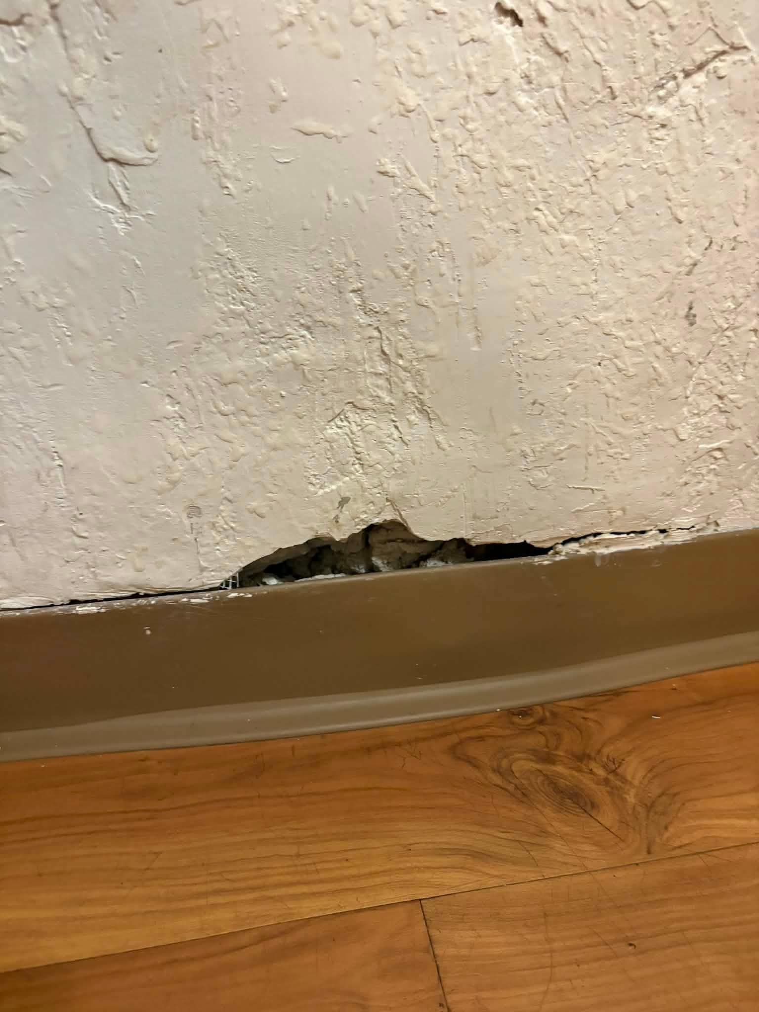 GIANT HOLE LARGER THAN A FIST IN THE WALL, bet you the roaches come from here 