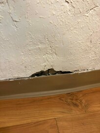 GIANT HOLE LARGER THAN A FIST IN THE WALL, bet you the roaches come from here