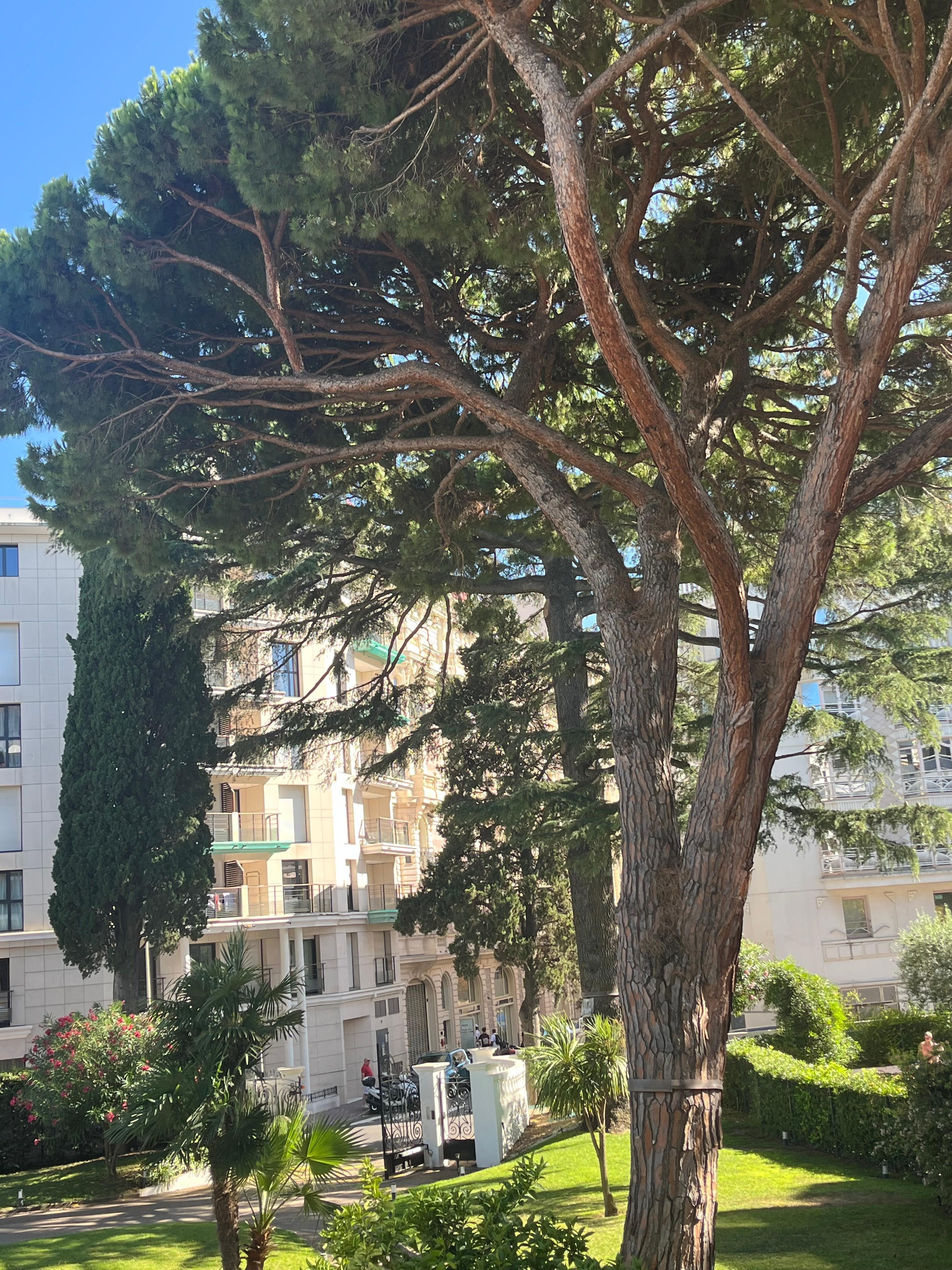 Utsikt fra terrassen 