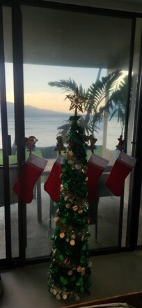 We brought Christmas decorations to enjoy the holidays.