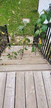 Rear steps overgrown with trees . Owner suggested we exit this way so we could lock front door apon leaving.