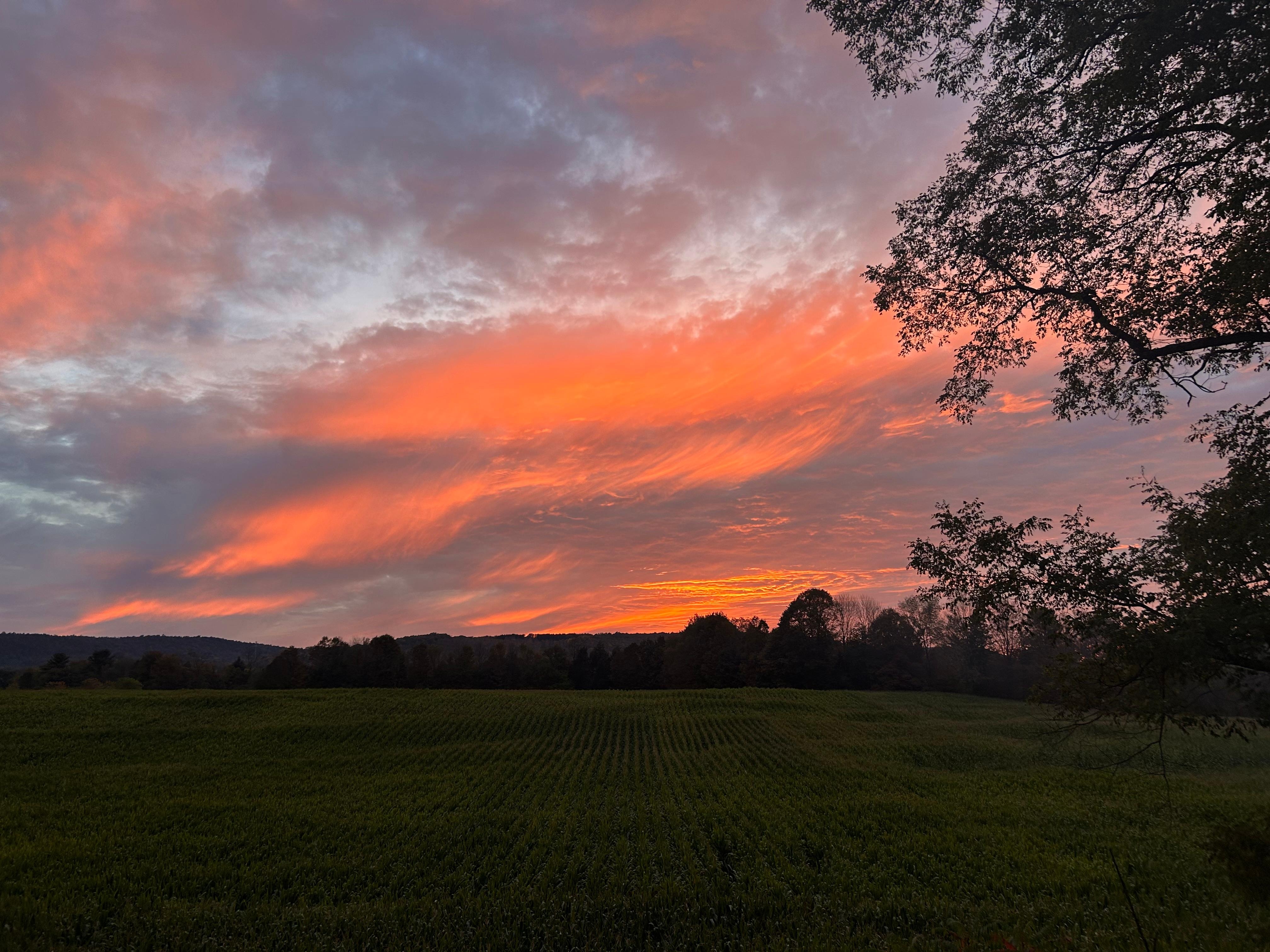 Sunset from the kitchen window.