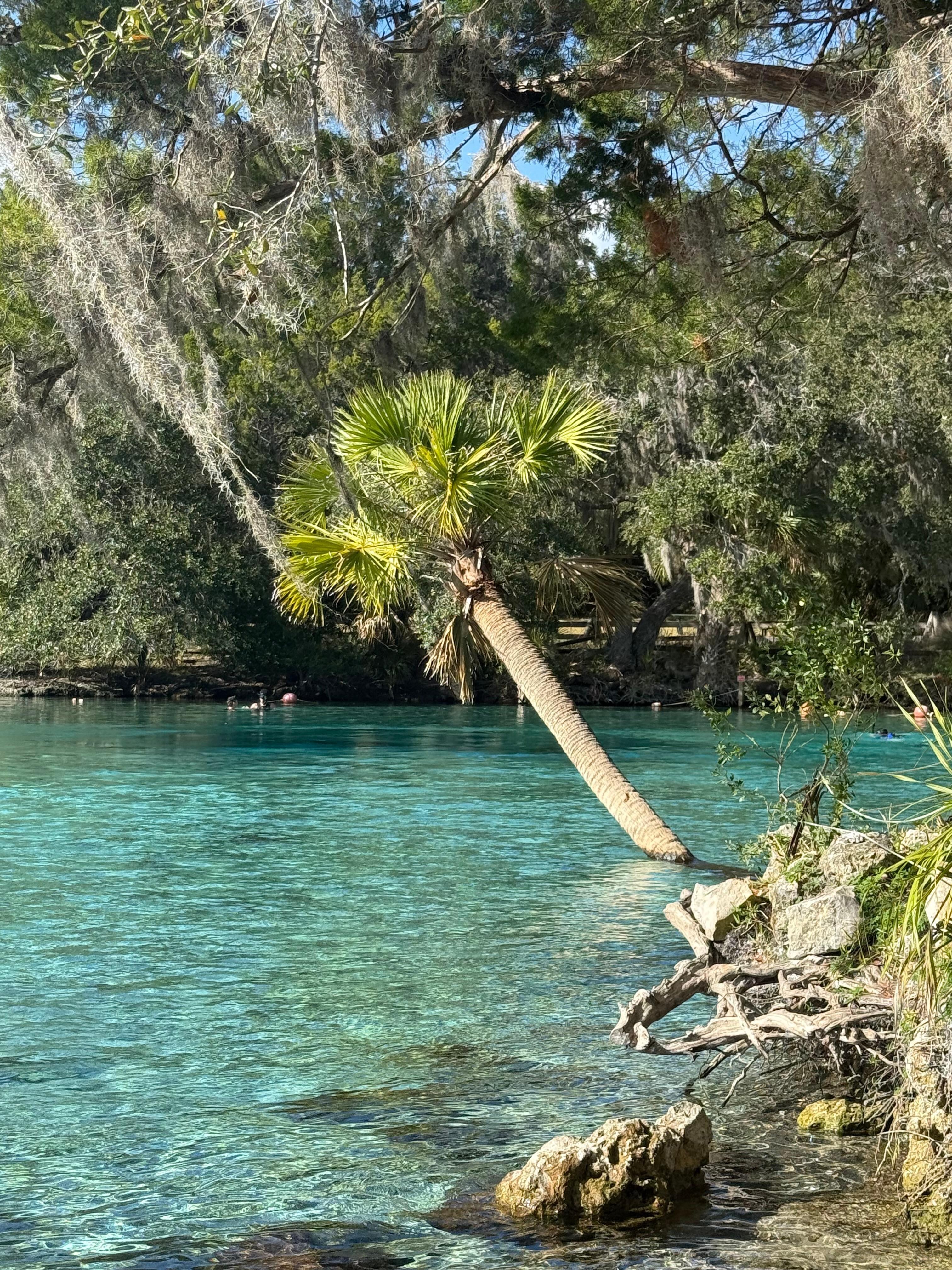 Great location for exploring local springs and trails (Silver Glen Springs)