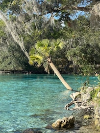 Great location for exploring local springs and trails (Silver Glen Springs)