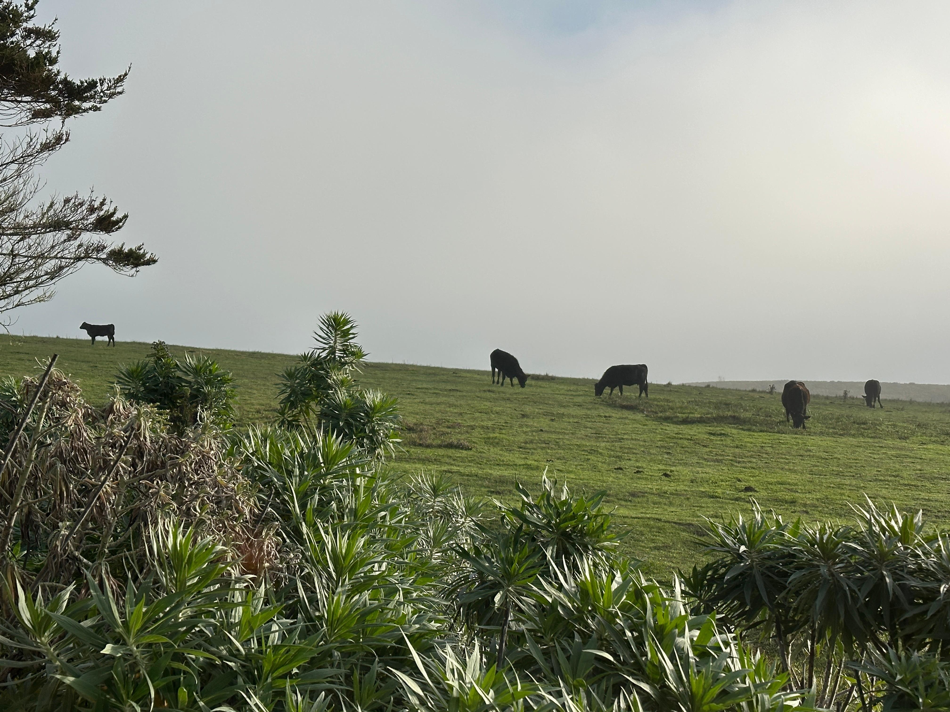 One of our morning views!