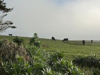 One of our morning views!