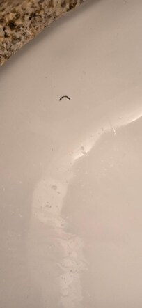 Eyelash and hair on shower wall in both rooms. Also ac unit wasn’t working properly in either room
