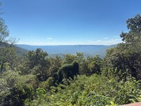 Our view from back porch
