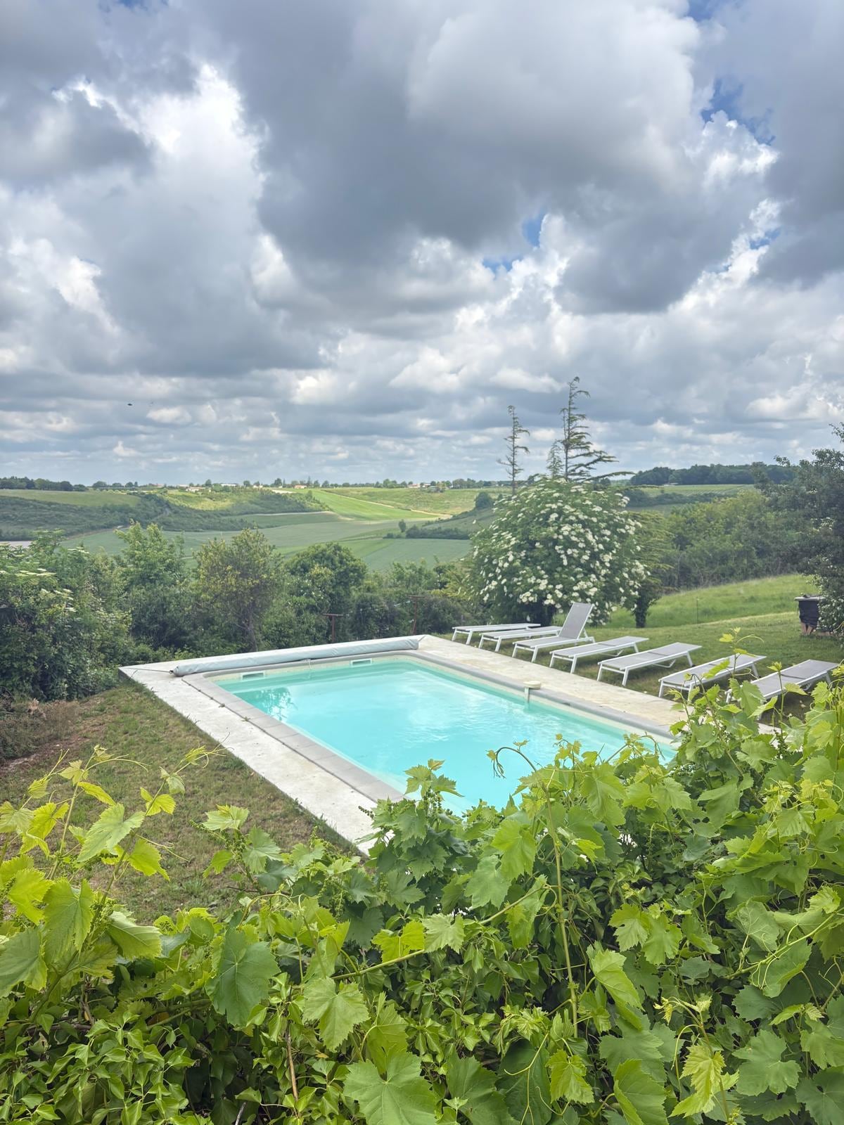 La piscine, vue de la terrasse
