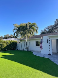 Front lawn and palms.