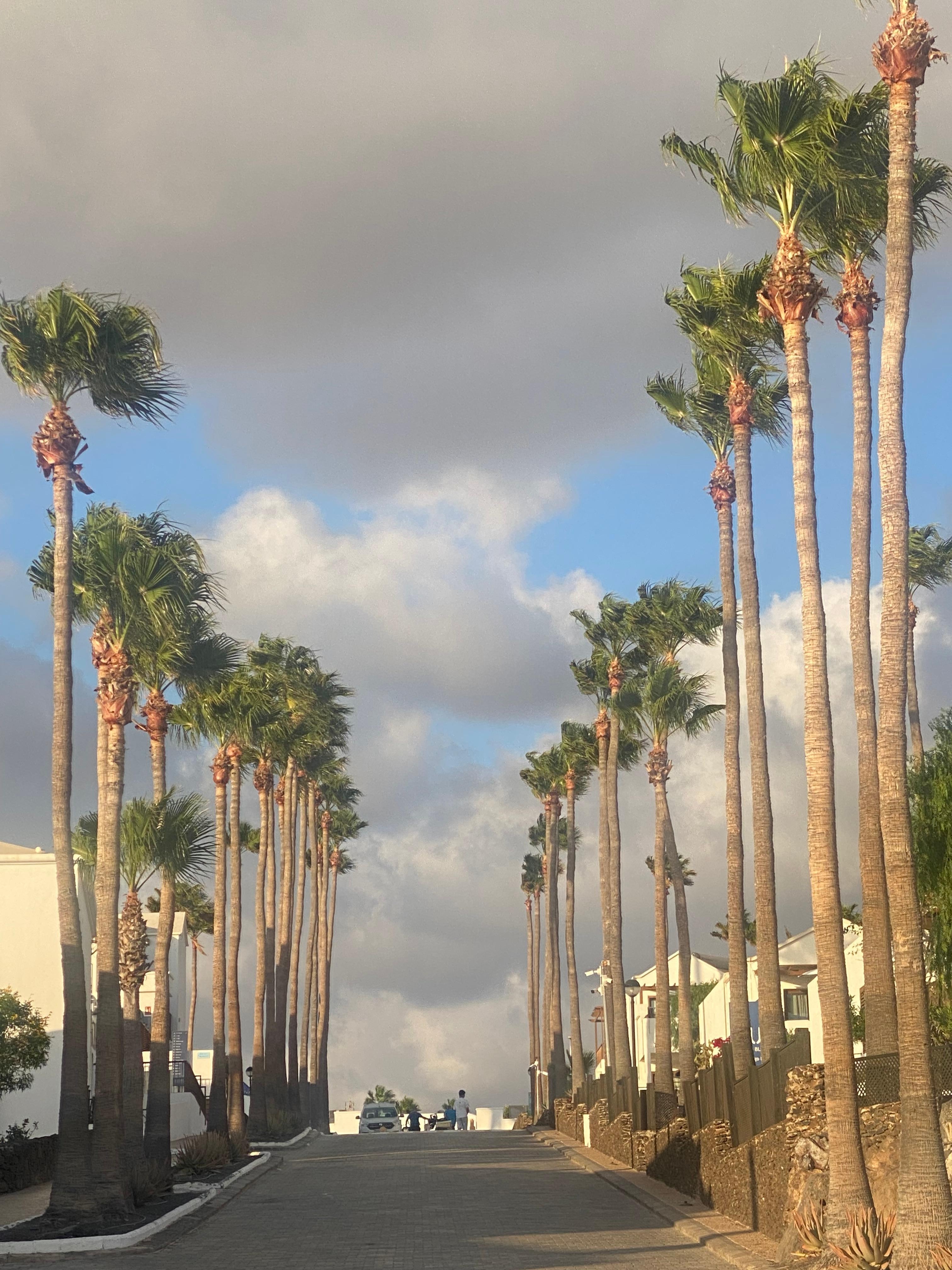 Flamingo Beach-re vezető út a hotelen keresztül