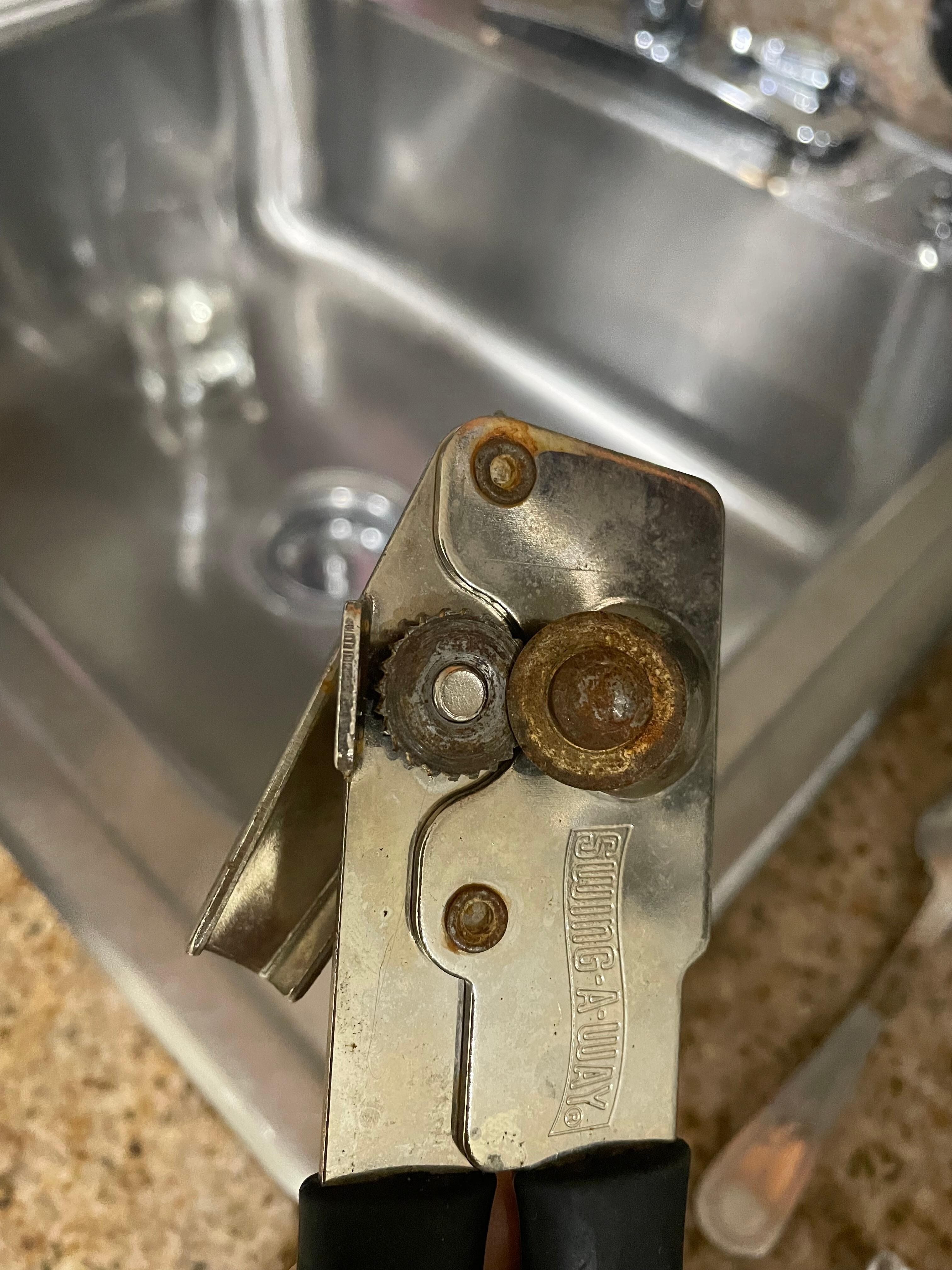 This is the kind of condition kitchen is in