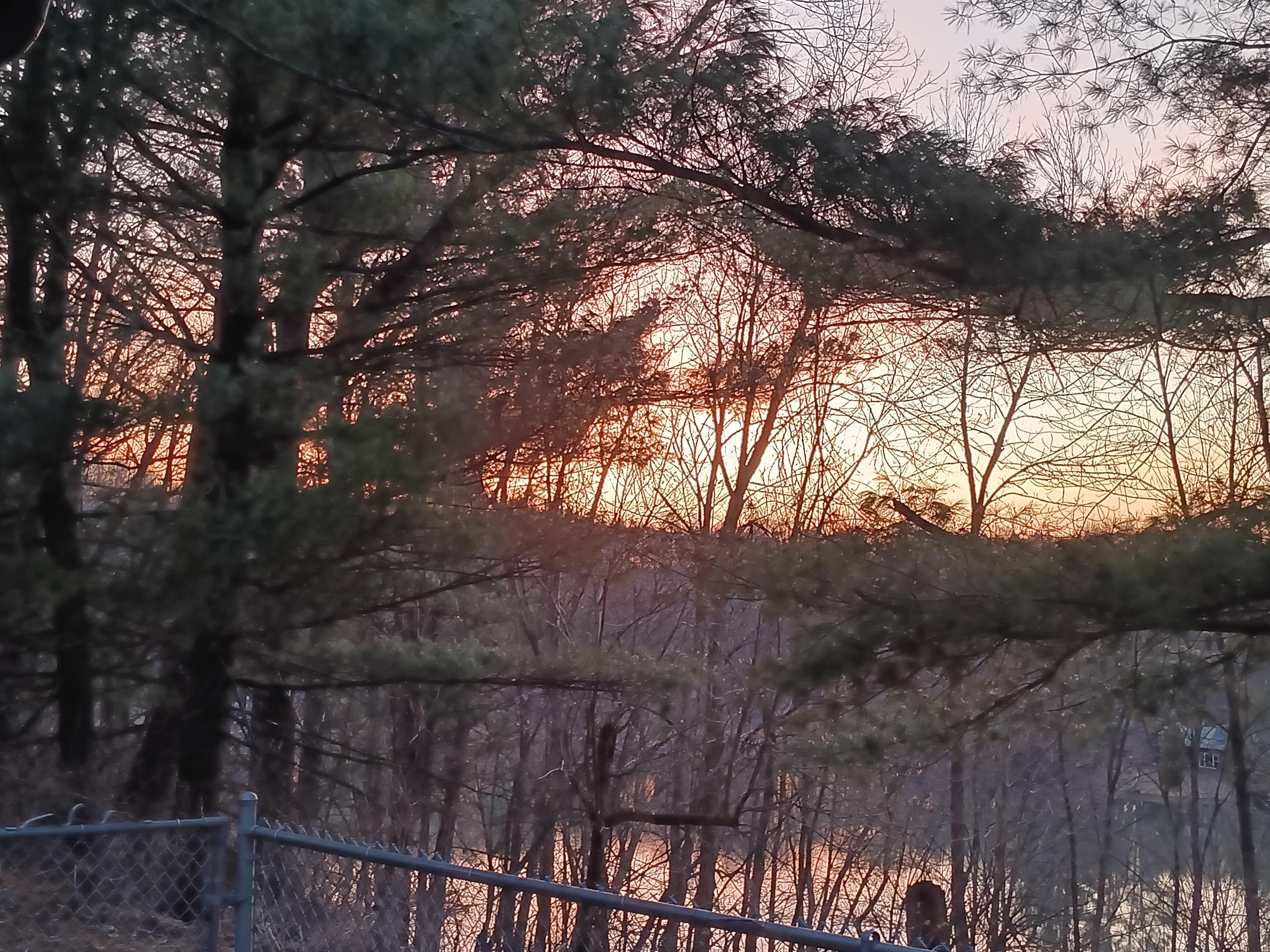 Sunset from the back patio