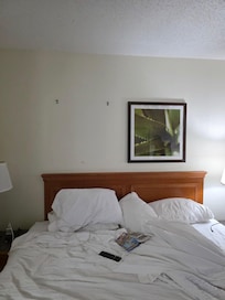 Obvious missing picture