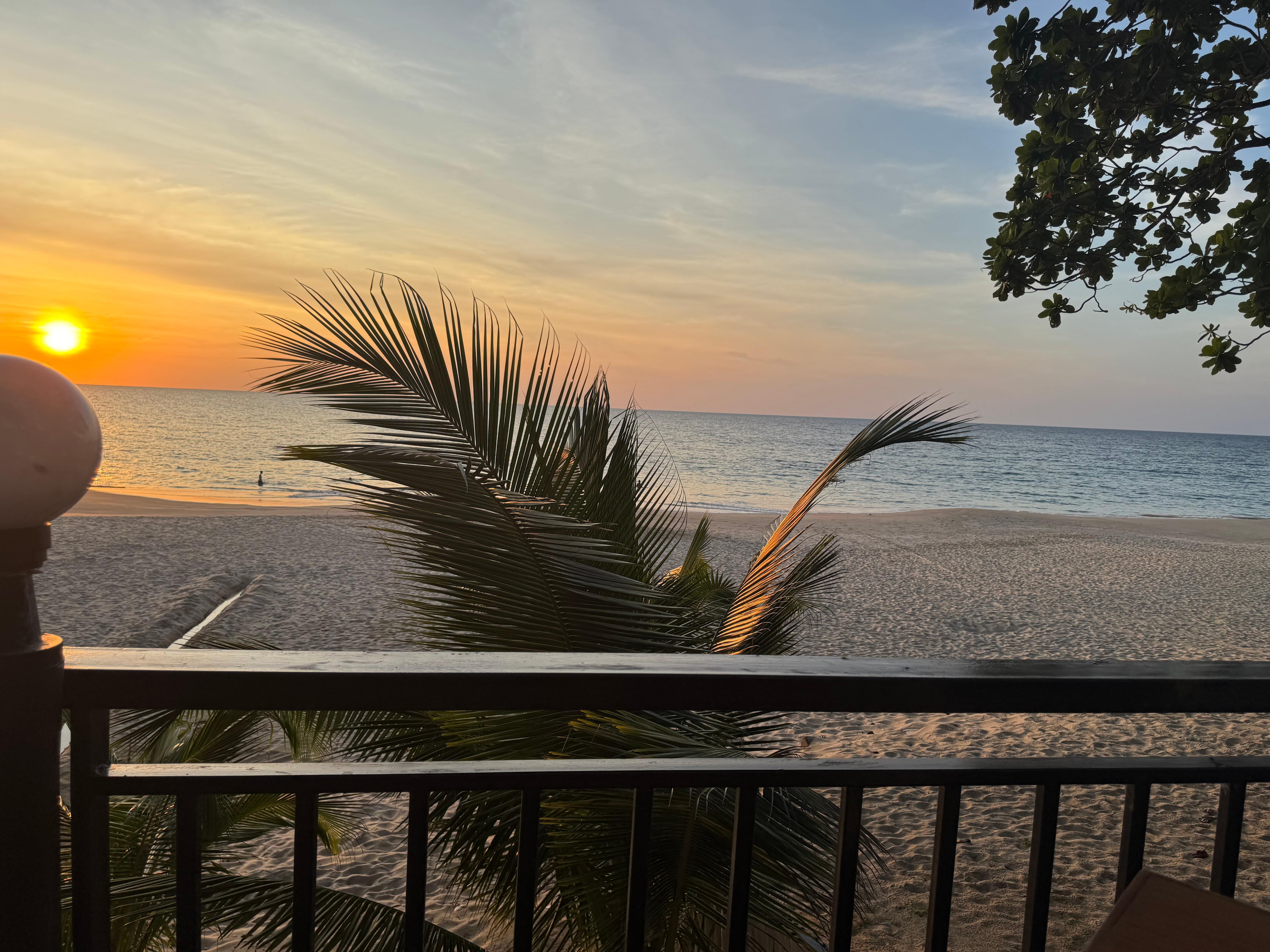 View from dining area