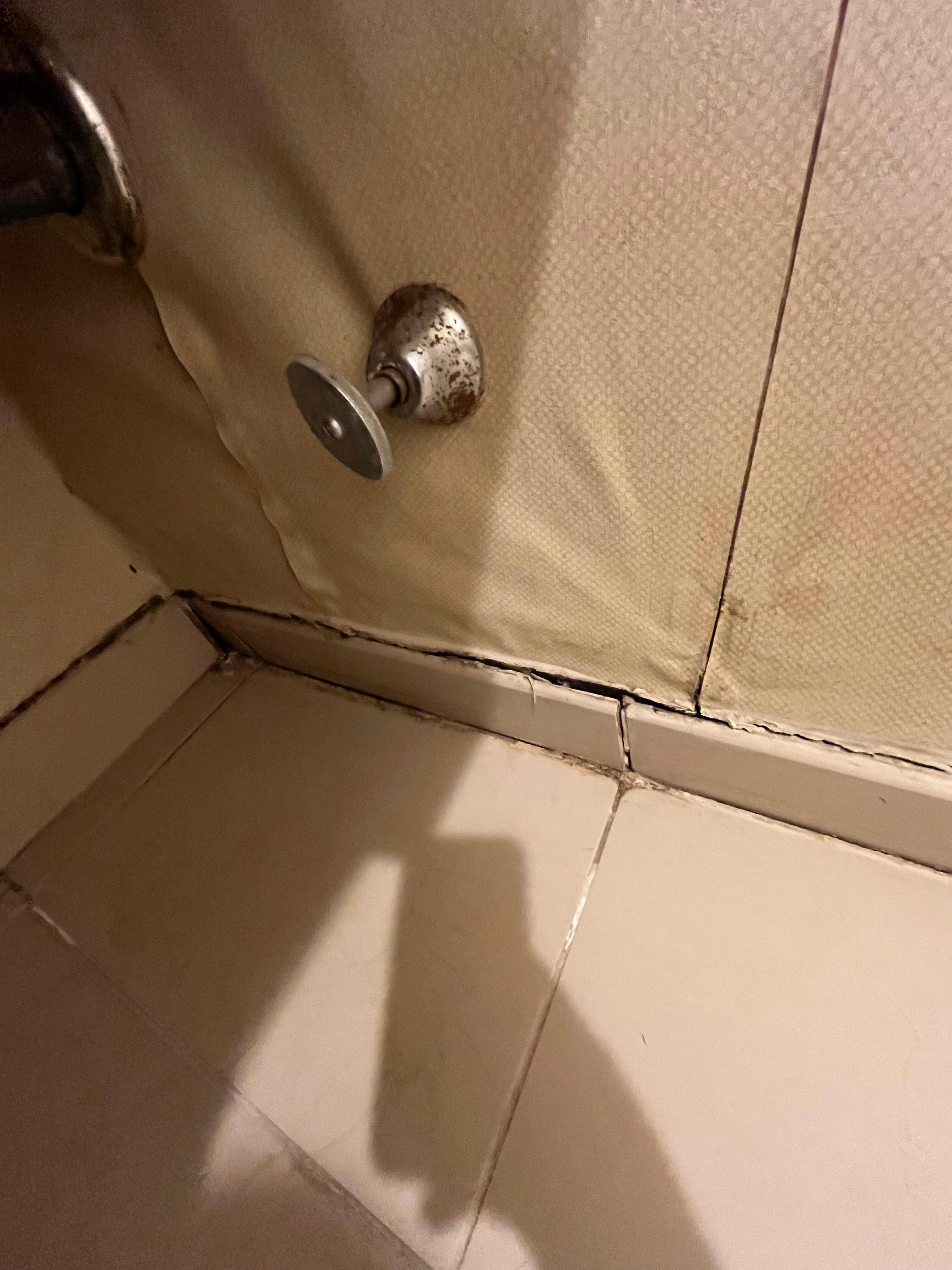 Bathroom wall 