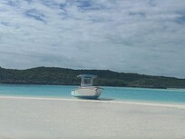 23 ft Boston Whaler from our boat tour