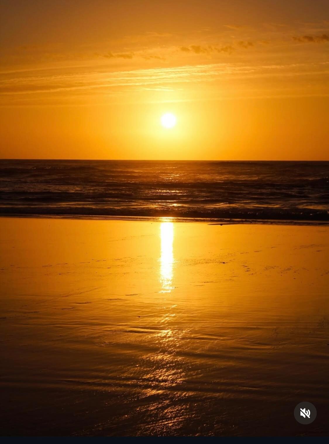 We really enjoyed the beach at night.  