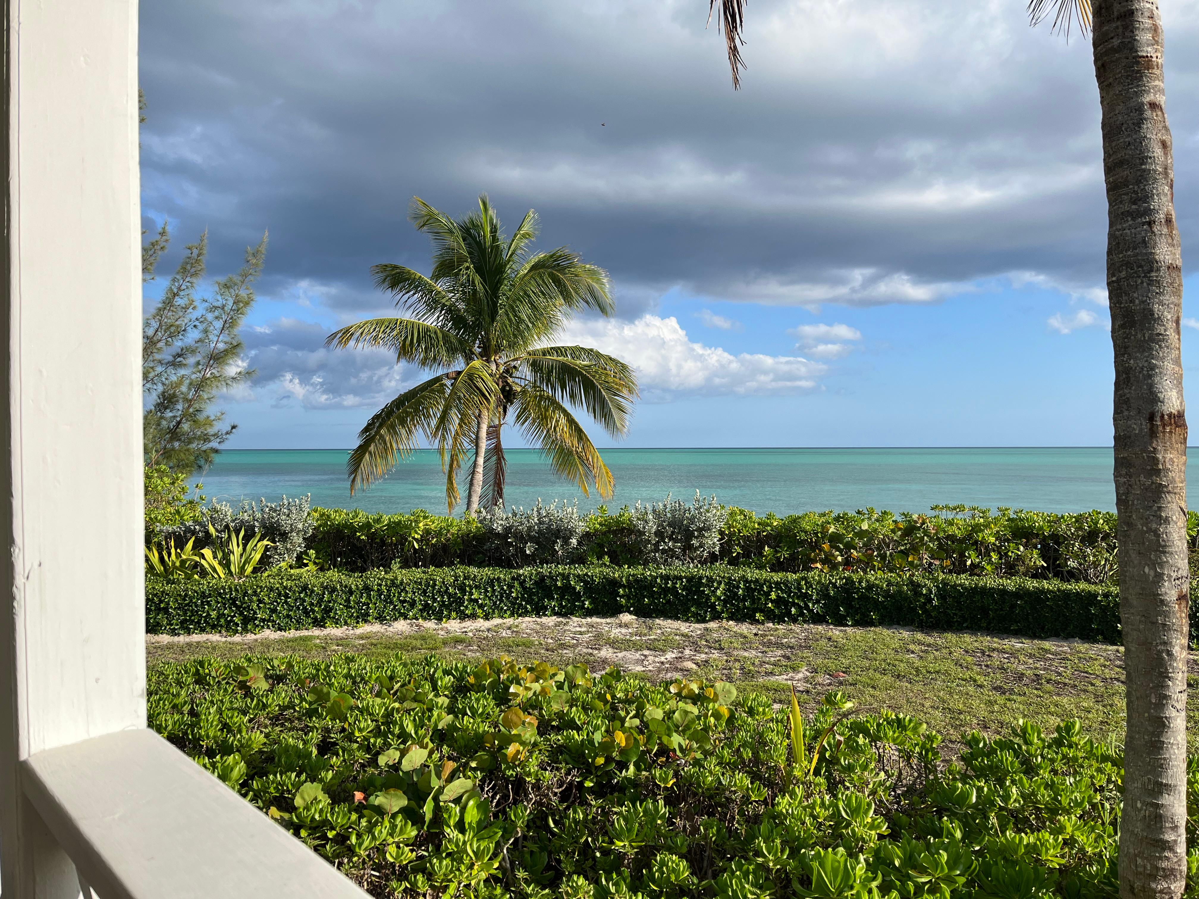 View from the back porch 