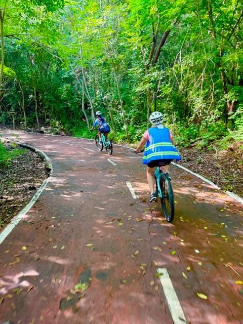 Fun and easy bike ride through the Jungle