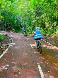 Fun and easy bike ride through the Jungle