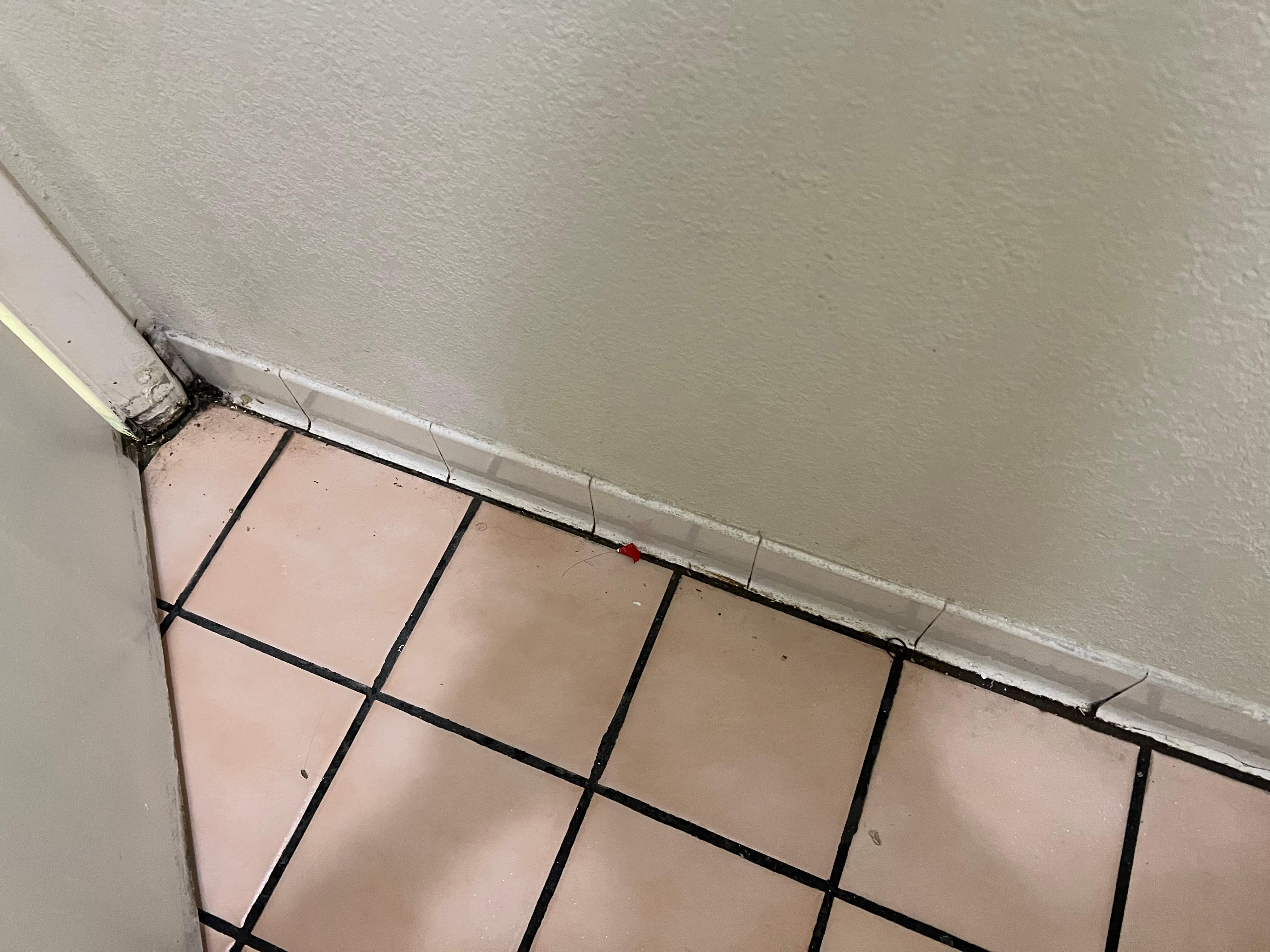 Dirty floor including random pubic hair 