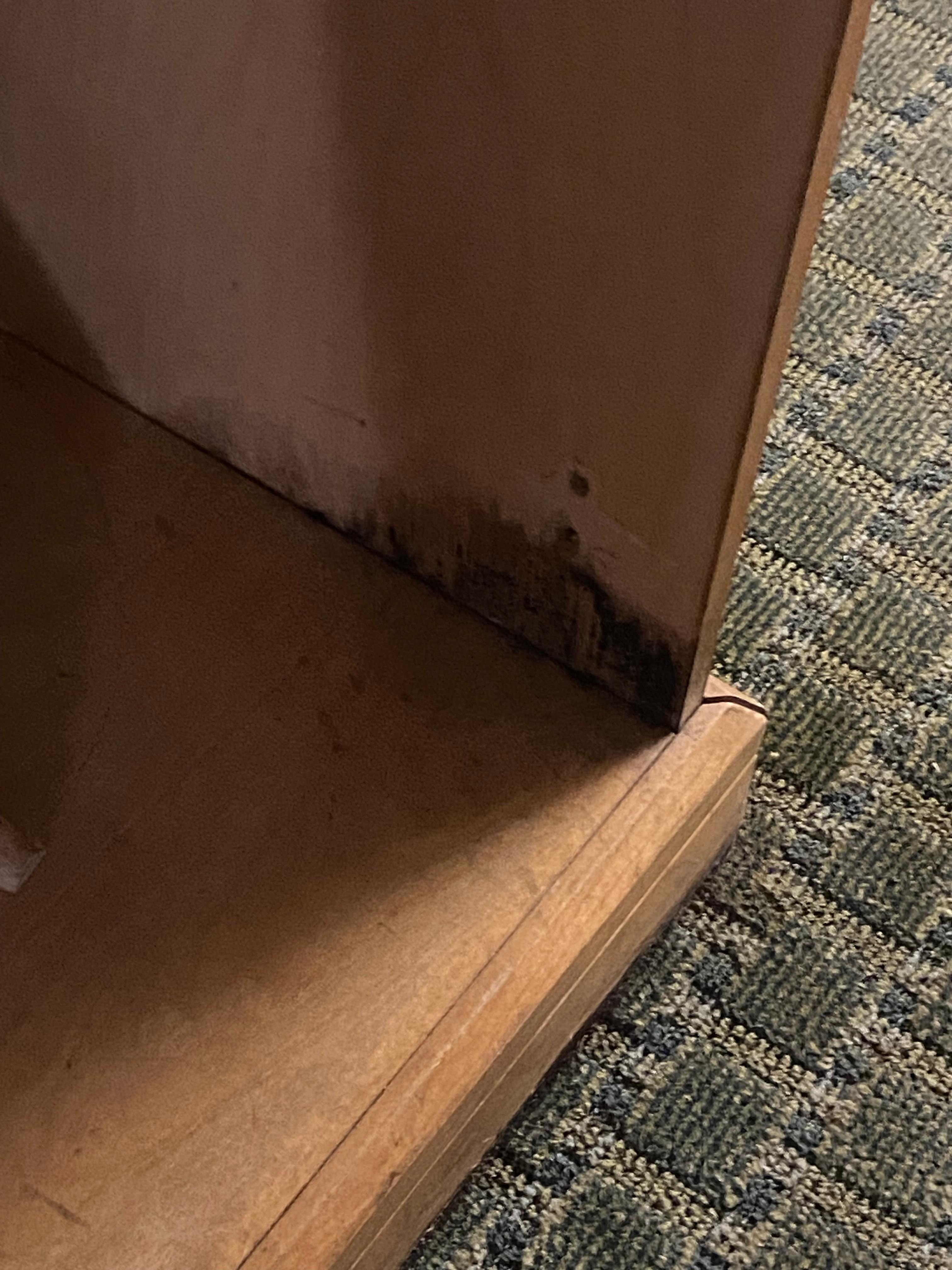 Mold everywhere