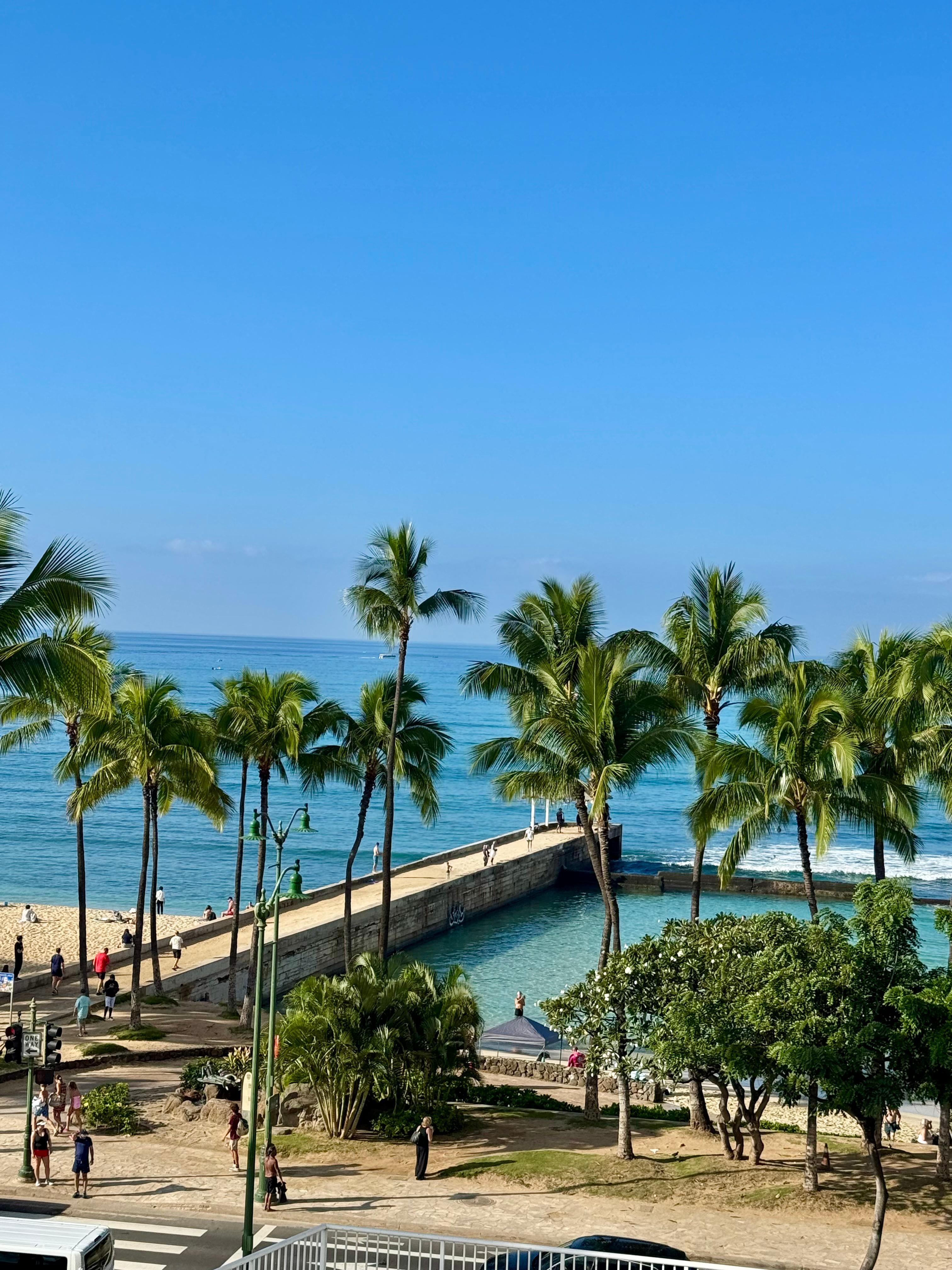 My view from my room. 