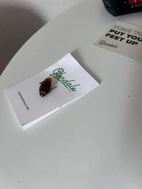 We had a little visitor