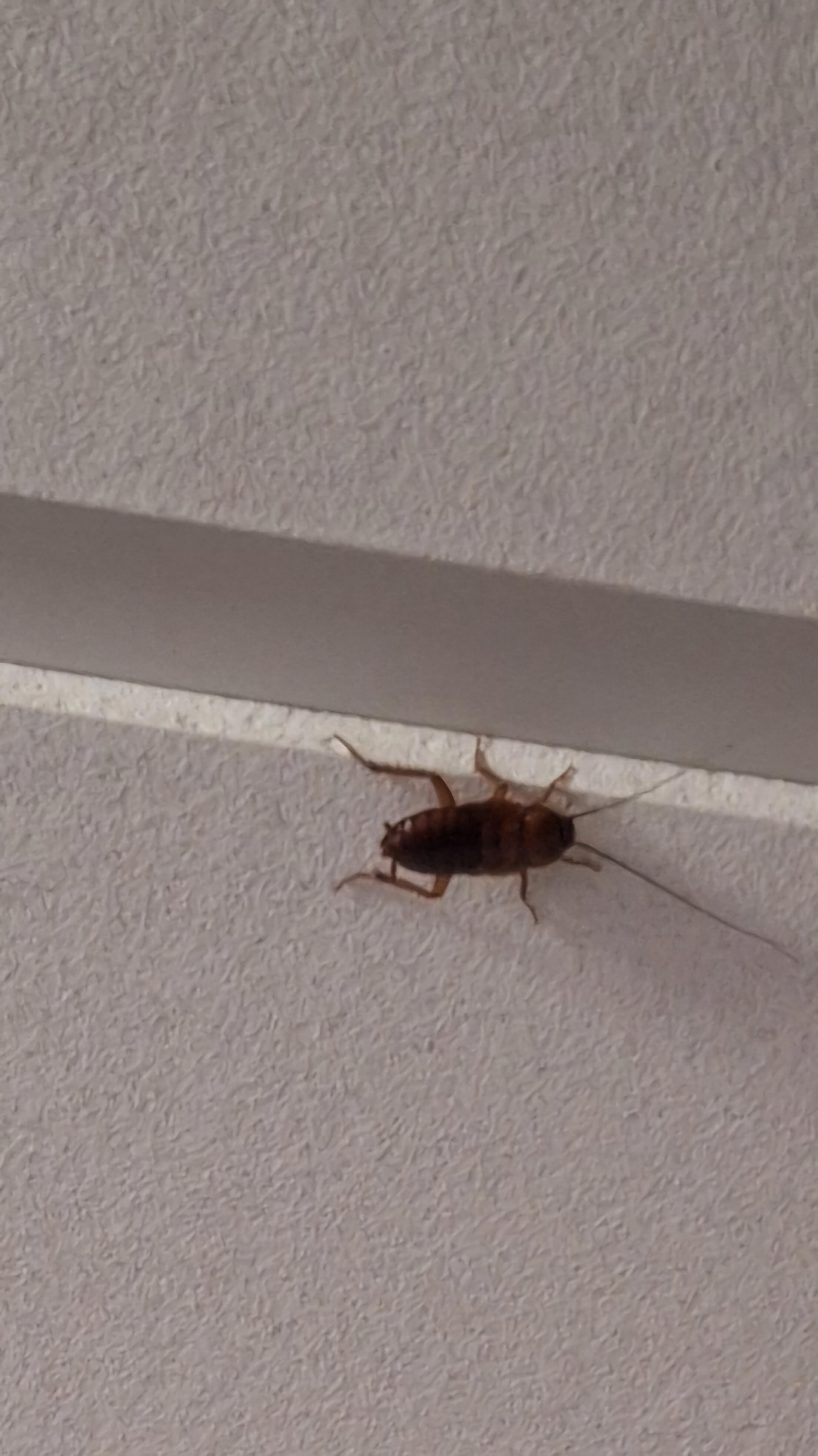 This what we saw in the corridor 