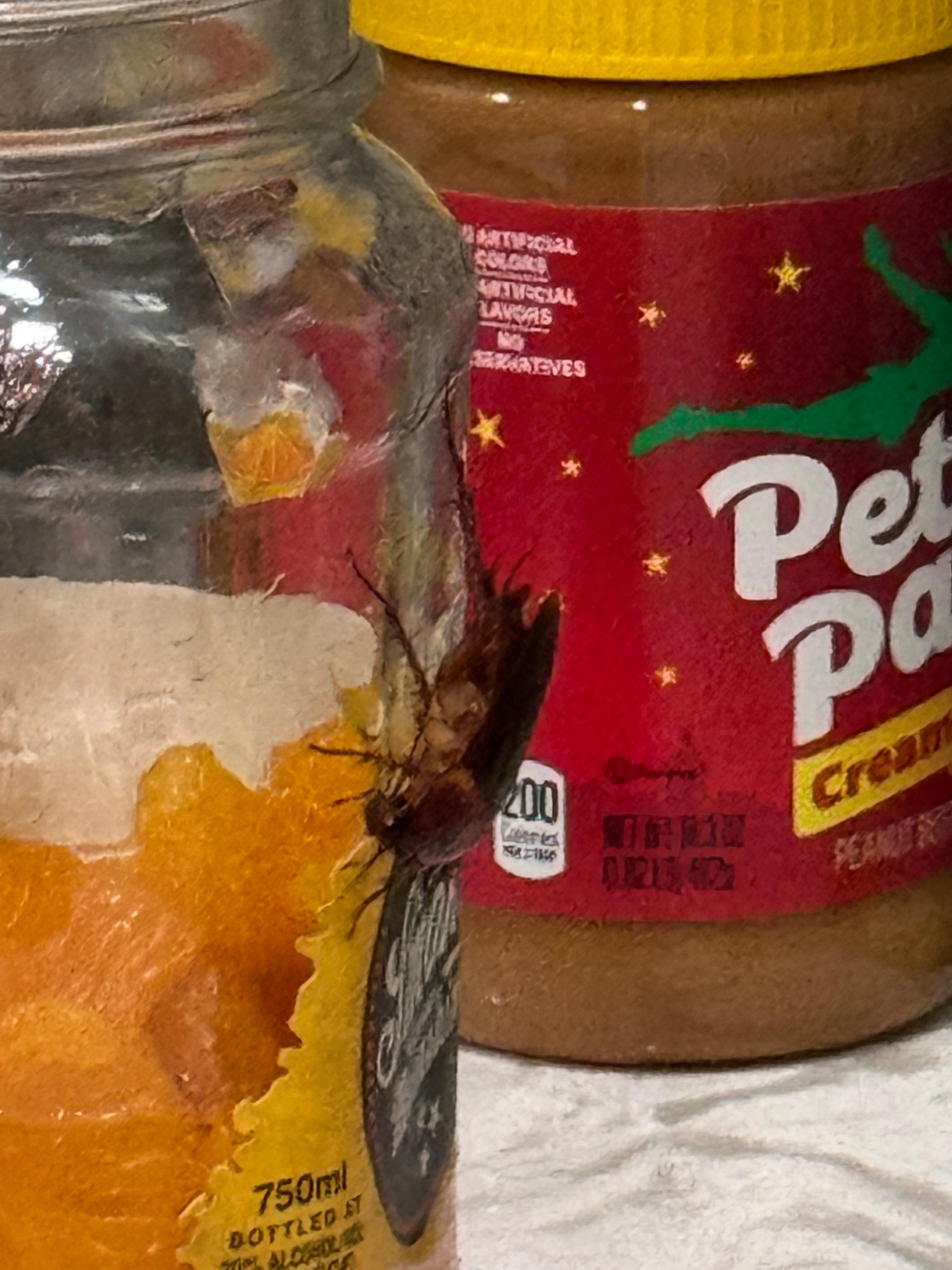 Unexpected and unwelcome intruder #3.  