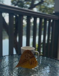 Coffee on the balcony with a gorgeous & calming view of the river along with the falling leaves of autumn