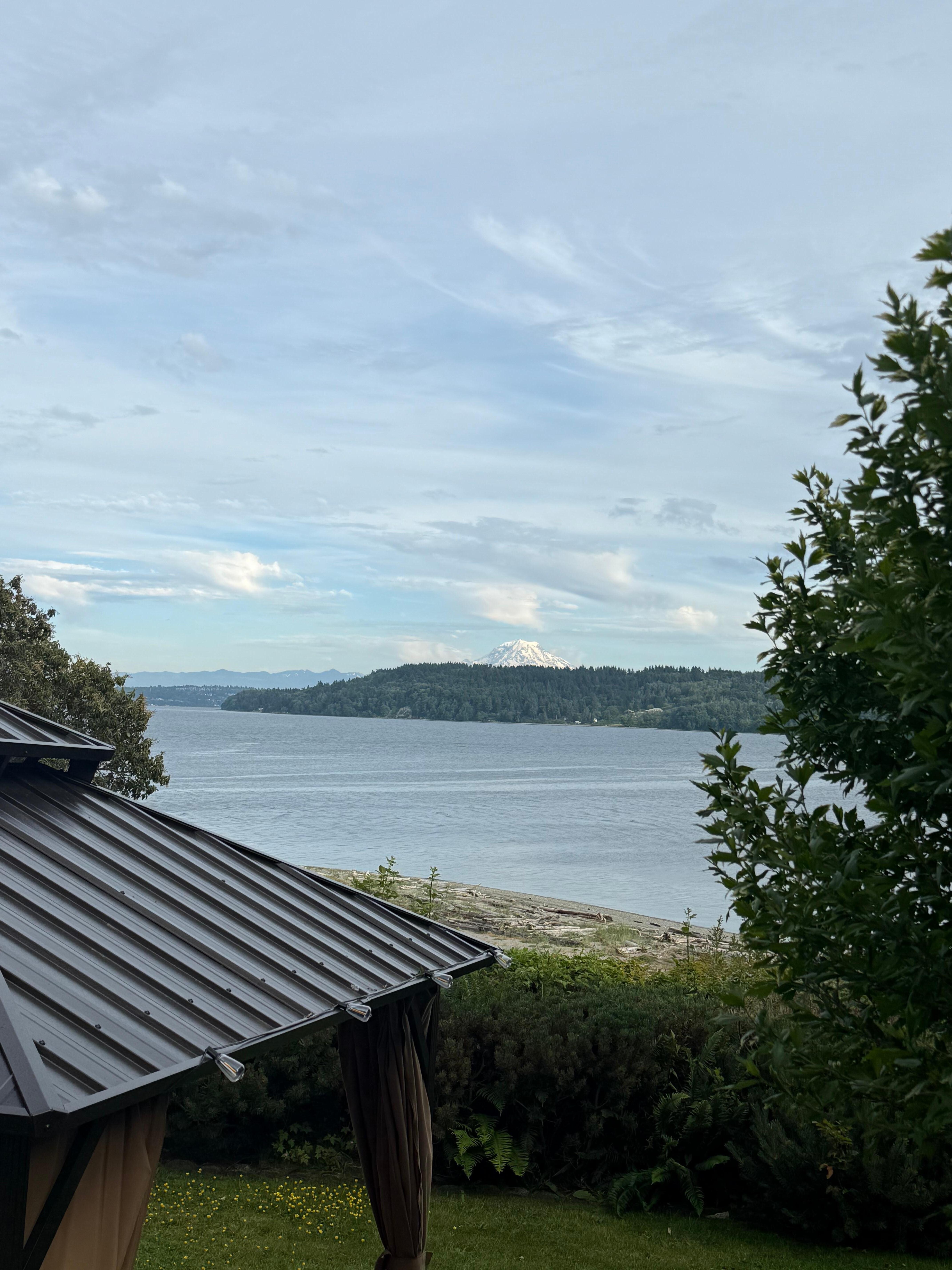 View from top of yard 