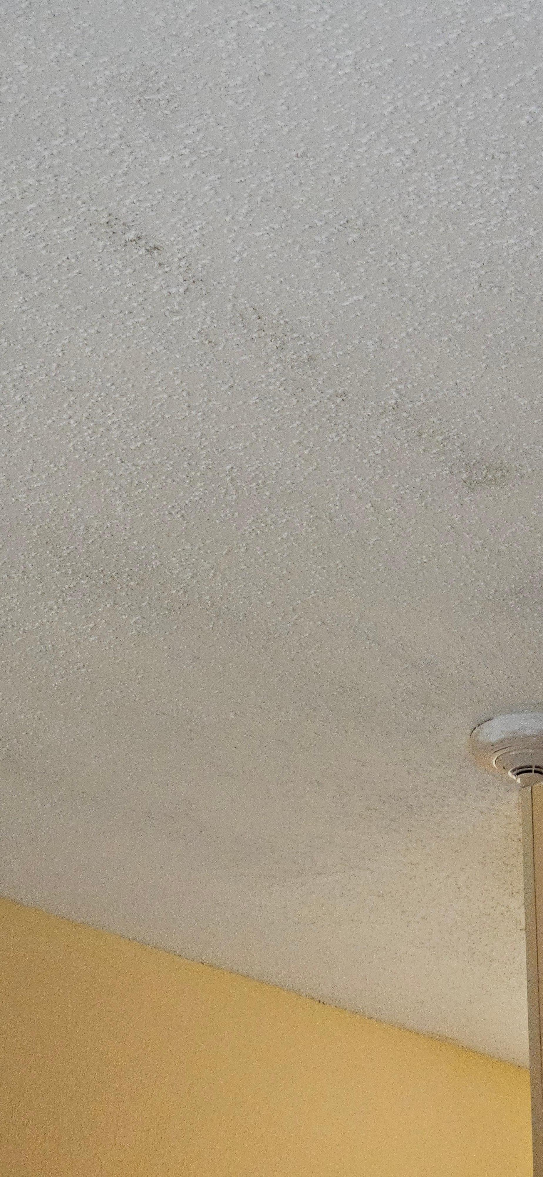 Ceiling, dirt or mold. My guess mold