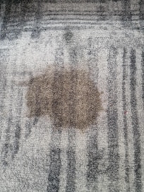 Carpet