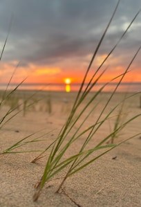 Beautiful sunsets