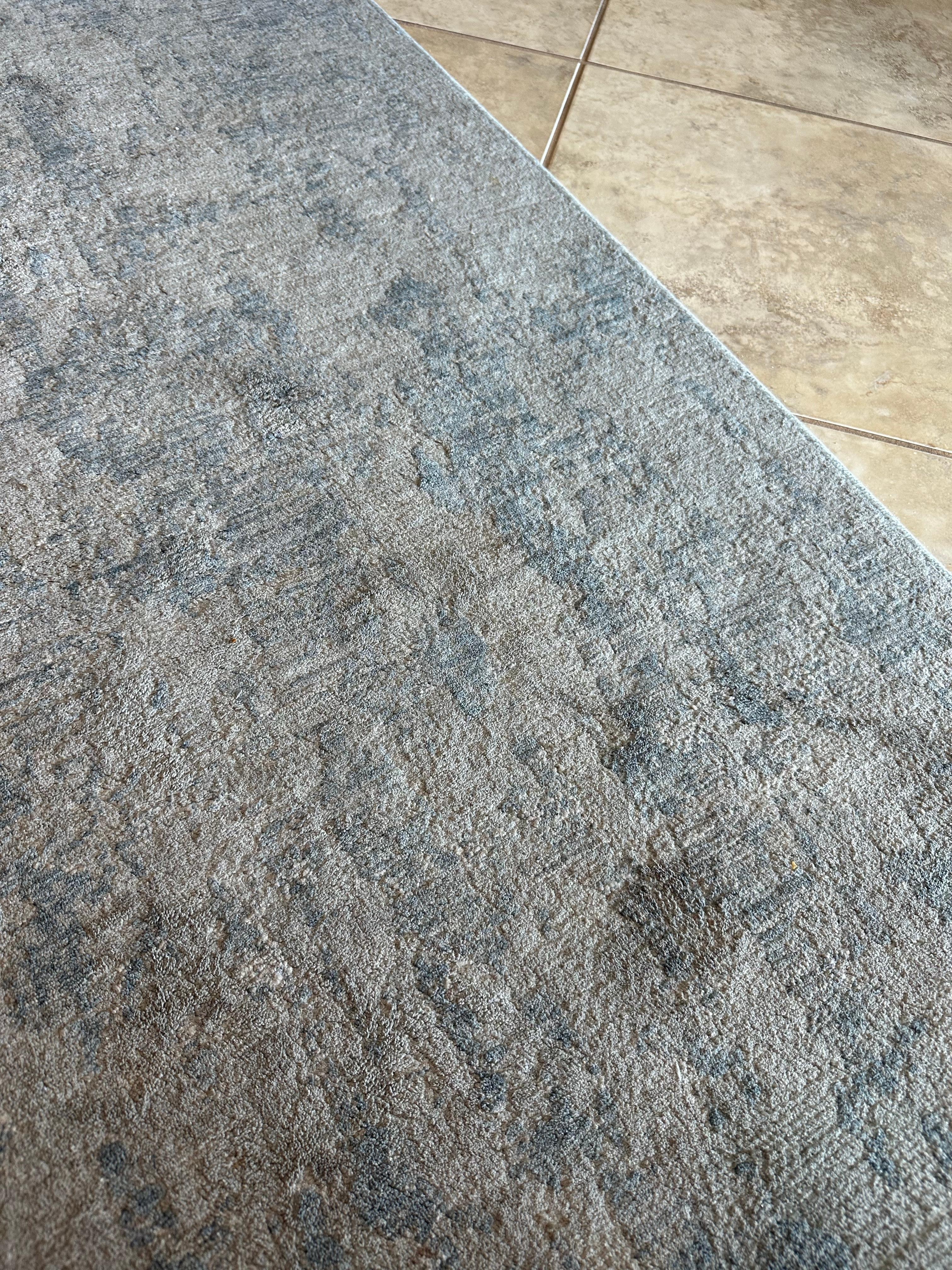 Main rug in living room 