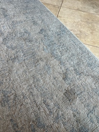 Main rug in living room