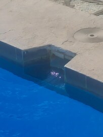 Broken tiles and btmroken skimmer box