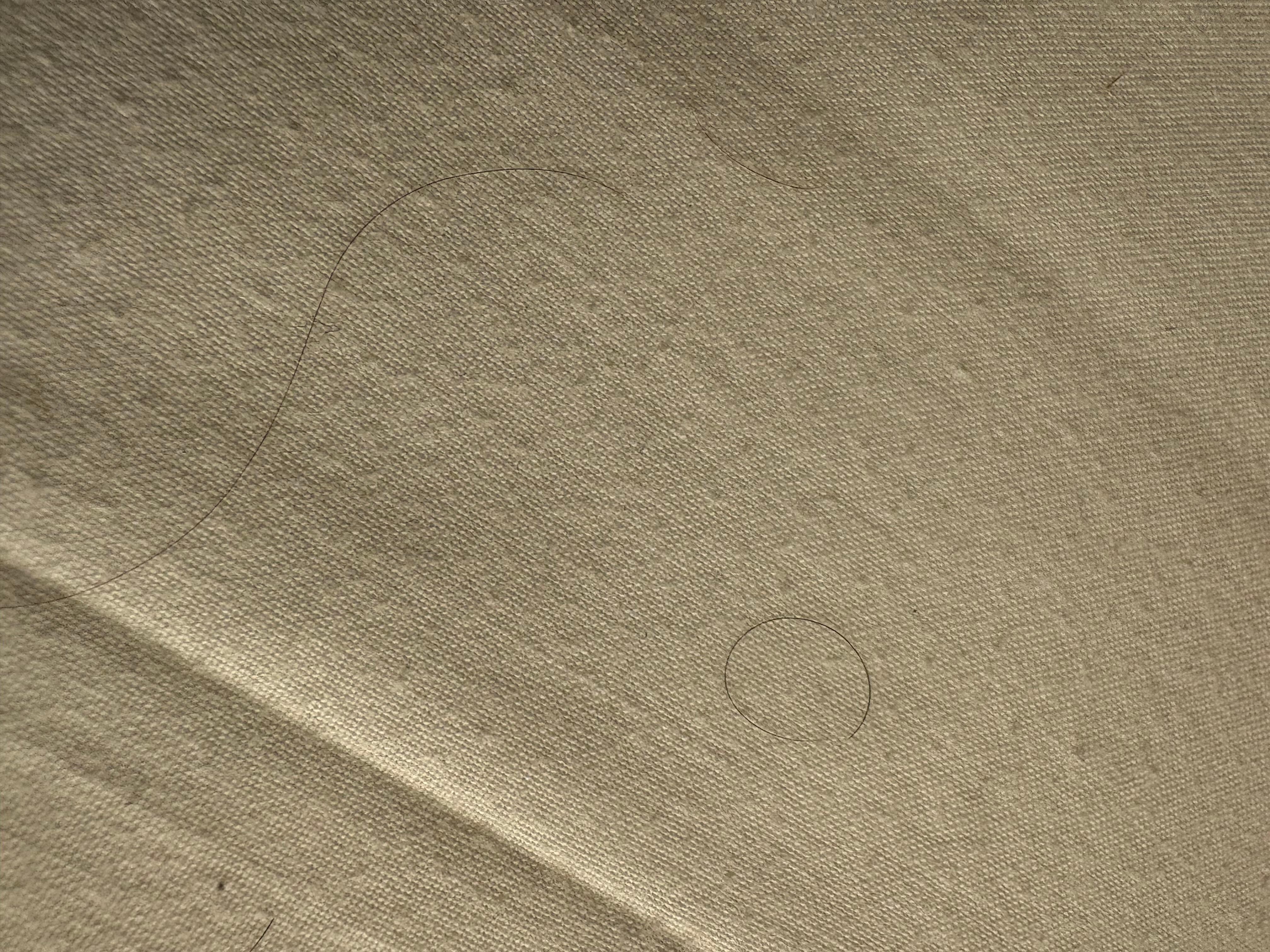 Hairs all over pillow