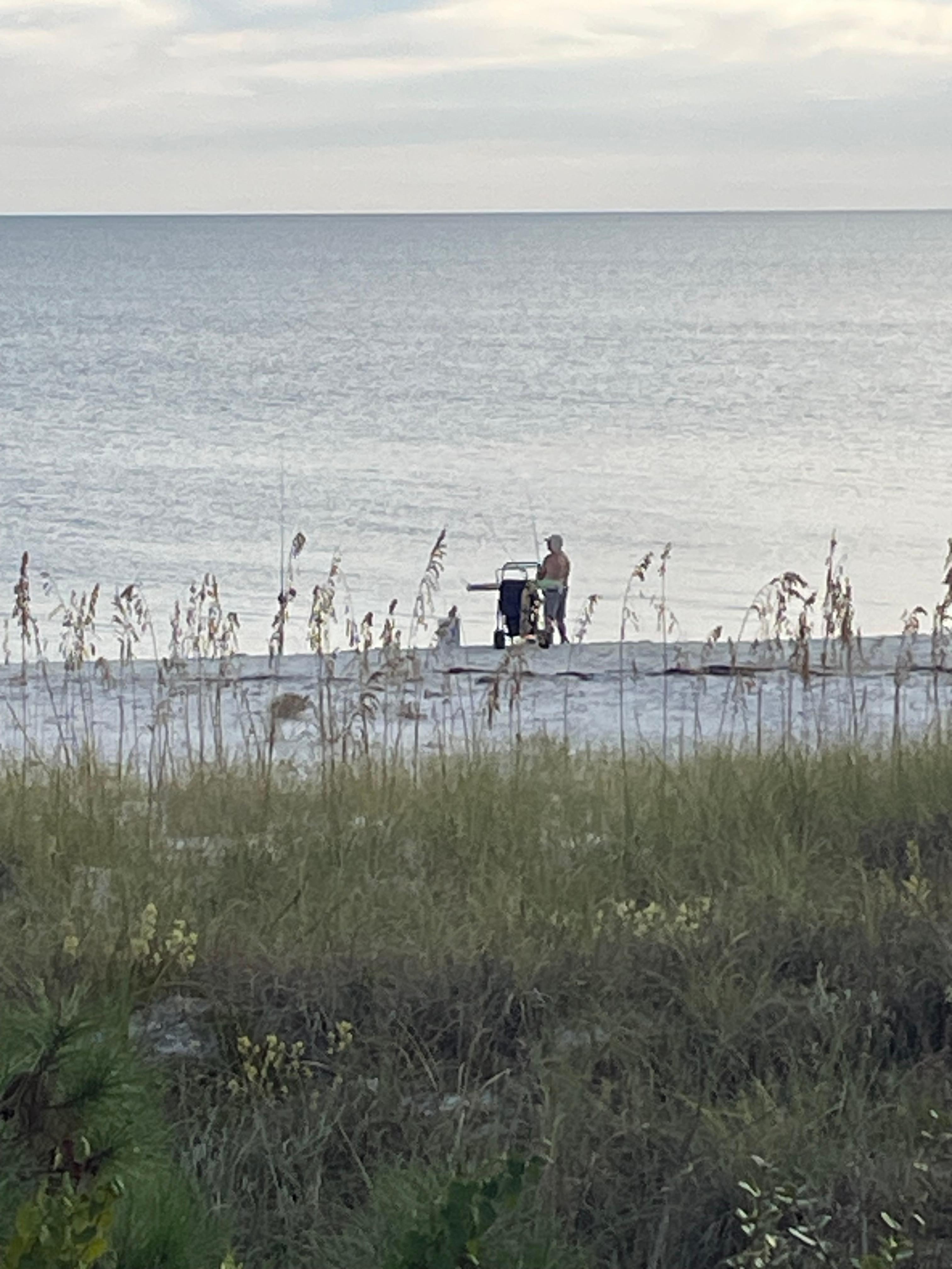 Picture from the back deck.