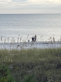 Picture from the back deck.