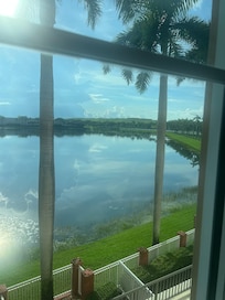 Beautiful view