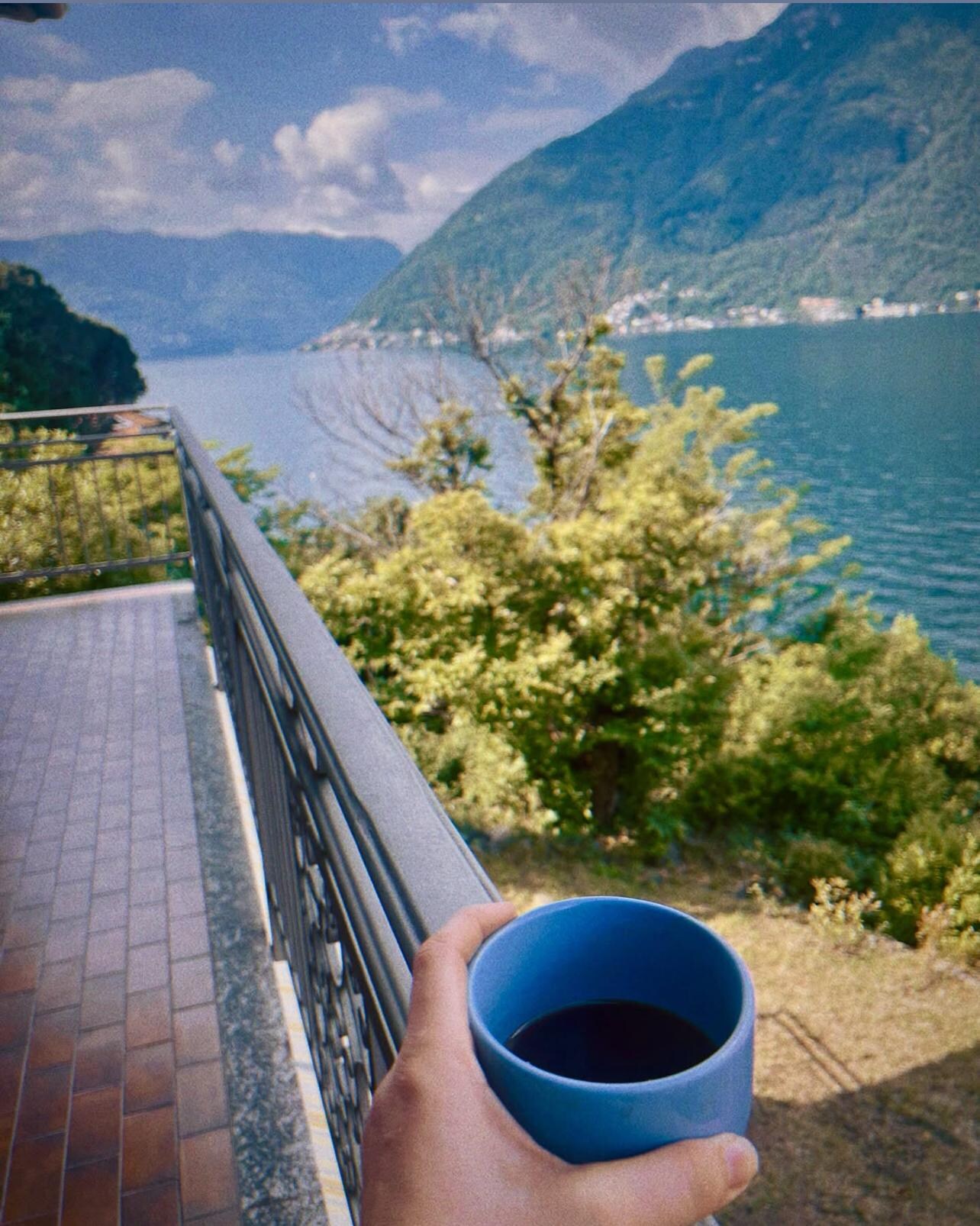 My morning view 
