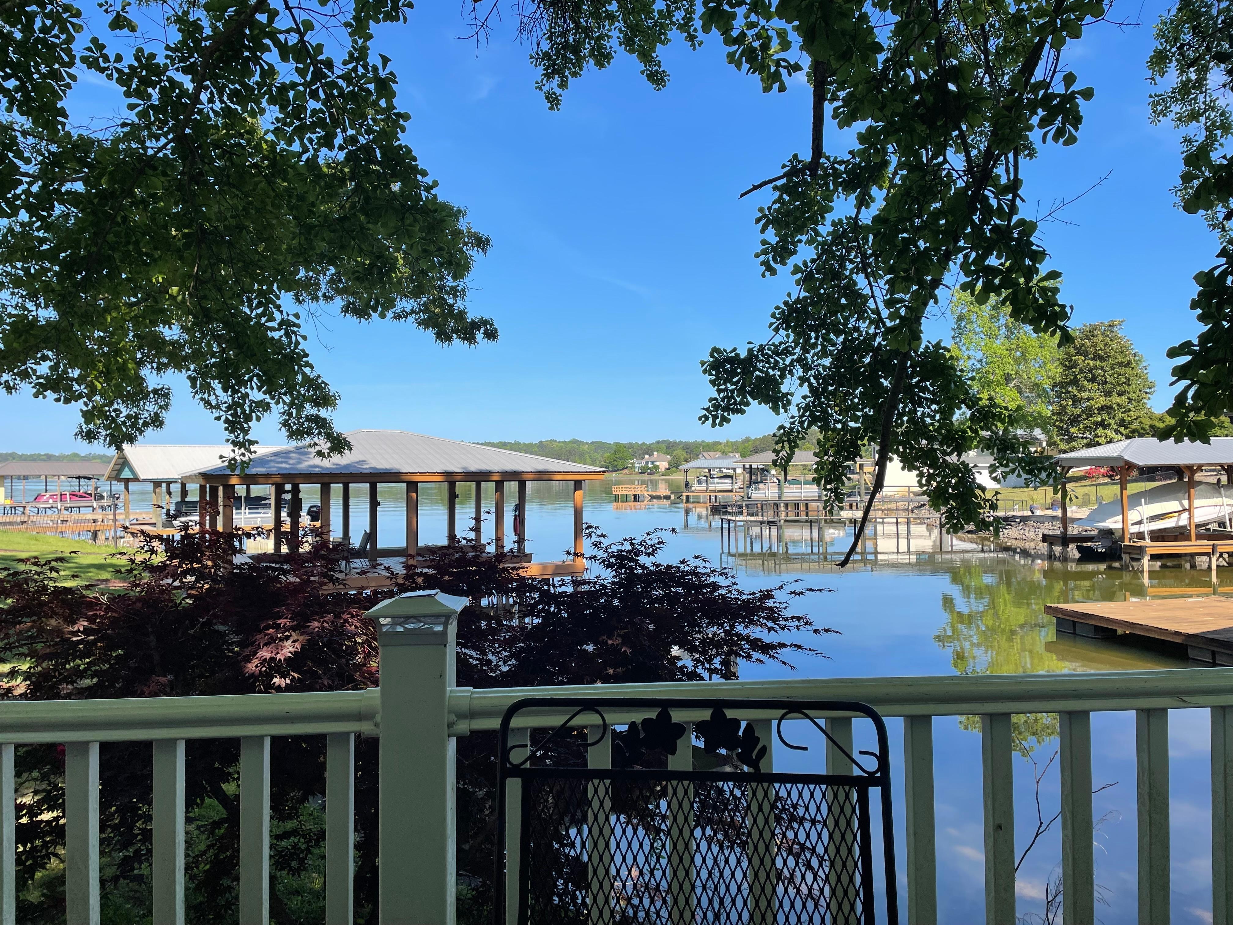 View from the back deck. 