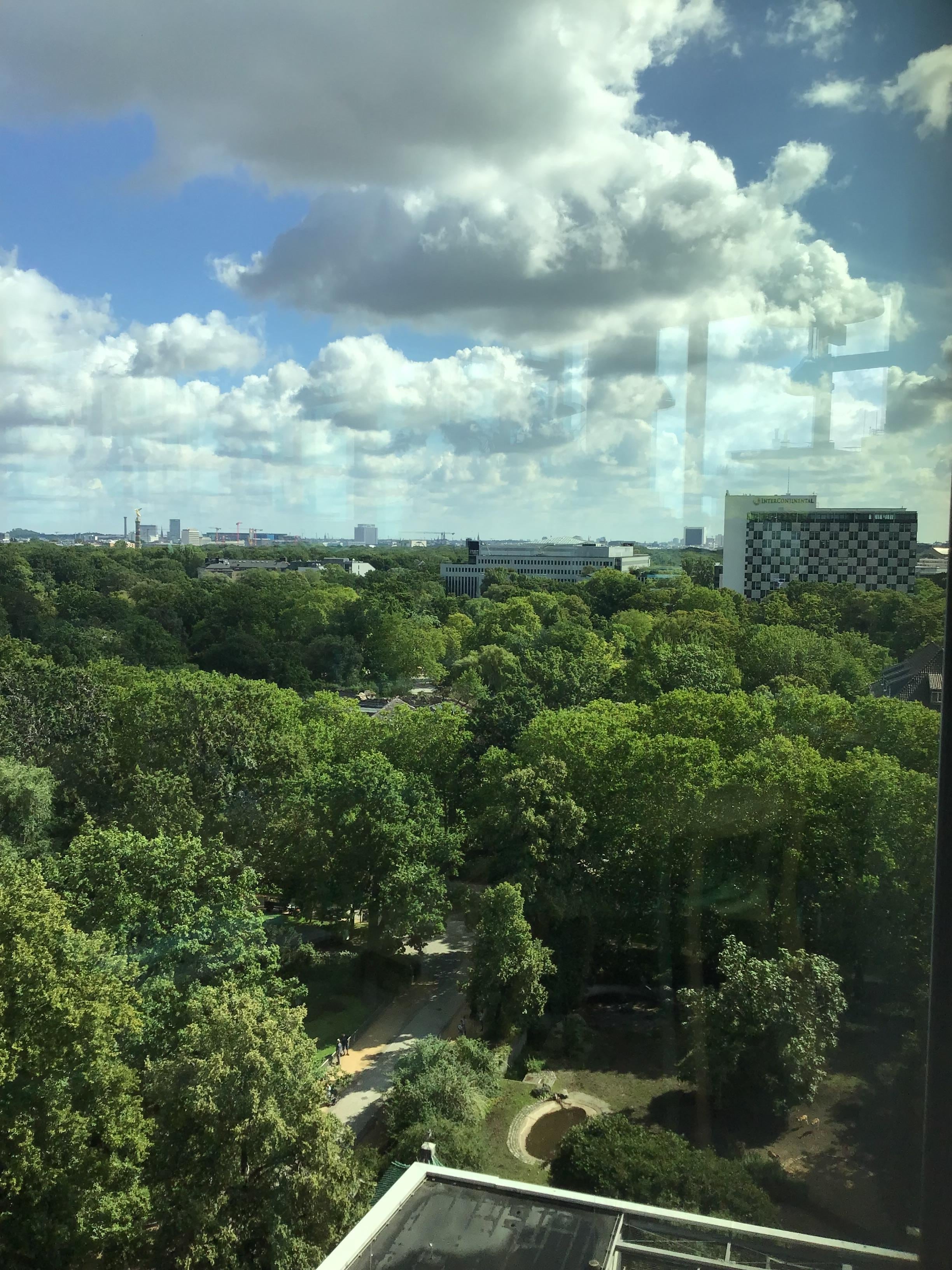 Udsigten fra restauranten