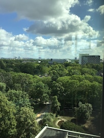 Udsigten fra restauranten