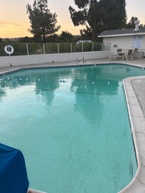 Clean cool pool